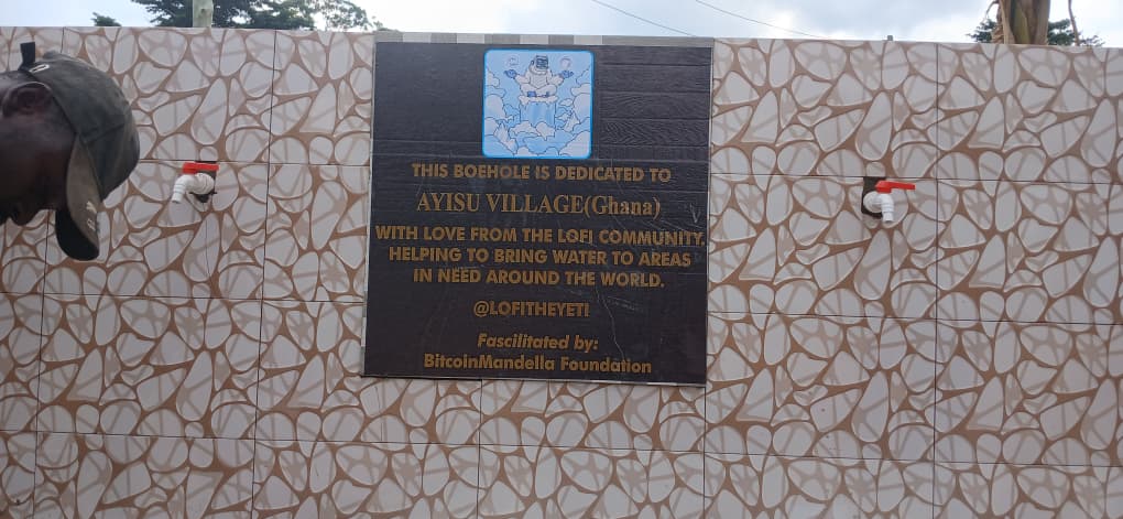 Ayisu Village Water Well - Image 3